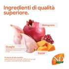 N&D Farmina Pumpkin Neutered Cat Quaglia e Melograno 1,5 kg