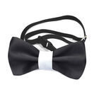 Record papillon per cani e gatti nero image number 0