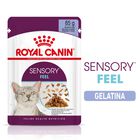 Royal Canin Cat Adult Sensory Feel Jelly 85 gr Royal Canin Cat Adult Sensory Feel Jelly 85 gr