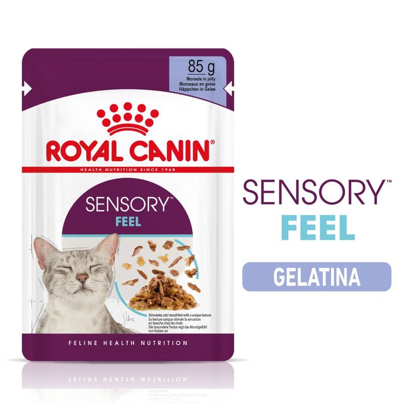 Royal Canin Cat Adult Sensory Feel Jelly 85 gr Royal Canin Cat Adult Sensory Feel Jelly 85 gr
