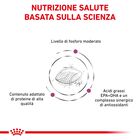 Royal Canin Veterinary Diet Dog Early Renal 2 kg