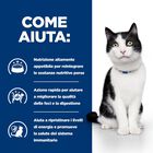 Hill's Prescription Diet Cat i/d bustina con salmone 85 gr