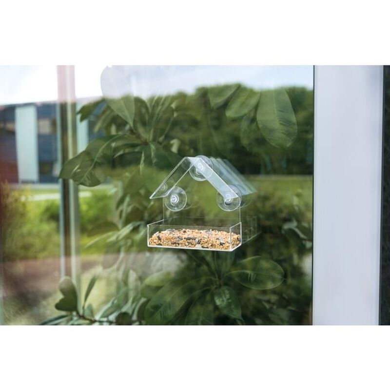 Trixie Mangiatoia per uccelli Trasparente 225 ml/15 x 15 x 6 cm