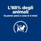 Hill's Prescription Diet Metabolic Alimento Umido per gatti con Pollo 85 gr