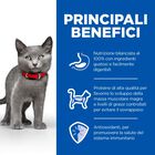 Hill's Science Plan Sterilised Kitten al pollo 85gr