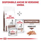 Royal Canin Veterinary Diet Dog Gastrointestinal Low Fat 12 kg