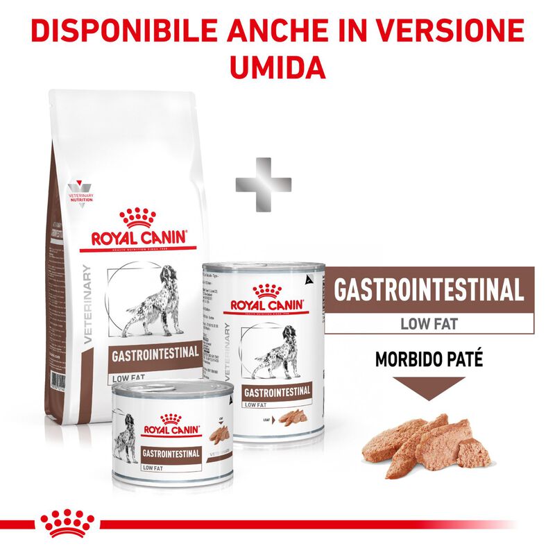 Royal Canin Veterinary Diet Dog Gastrointestinal Low Fat 12 kg
