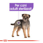 Royal Canin Dog Mini Adult Sterilised 1 kg