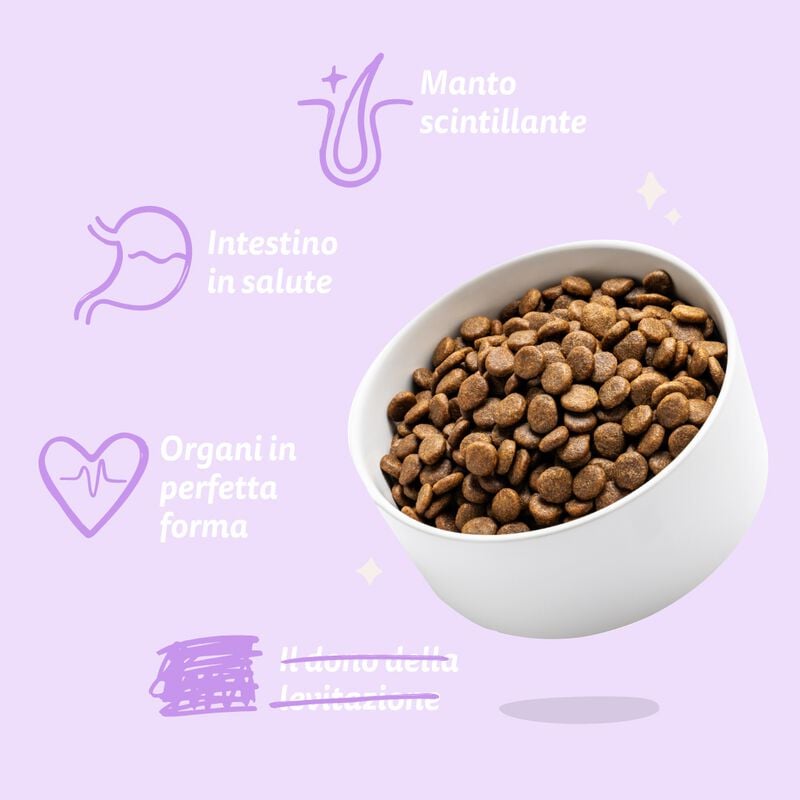 Edgard & Cooper Crocchette per cani adulti Anatra 2,5 kg
