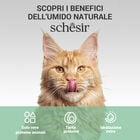 Schesir Soup Cat Salmone e Carote 40g