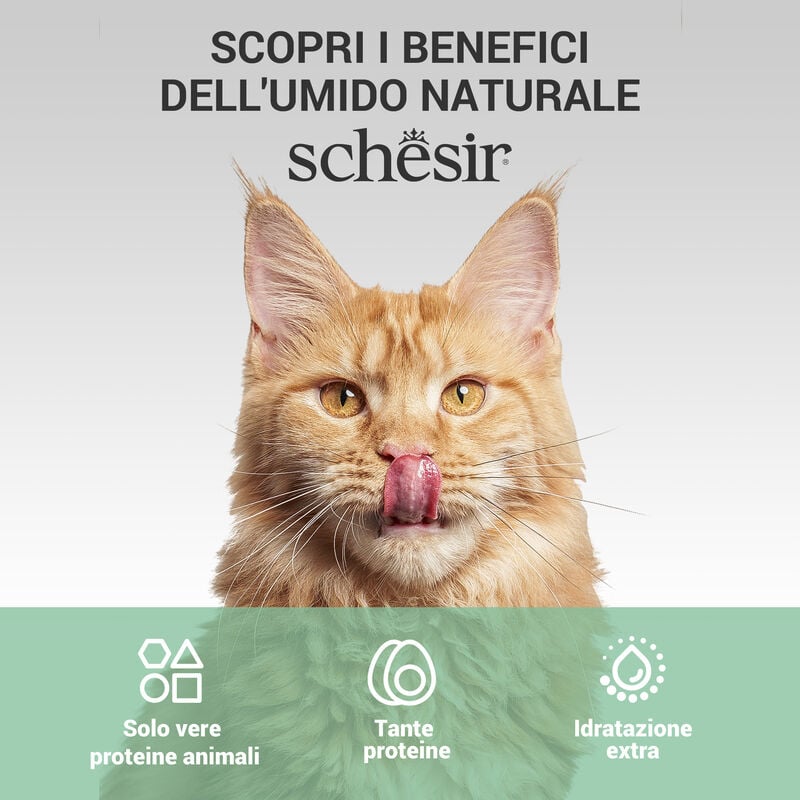 Schesir Soup Cat Salmone e Carote 40g