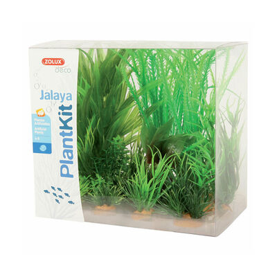 Zolux Plantkit Jalaya 6 piante Mod 1