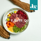 Joepet Dog Active Bio Veg Olio 250ml