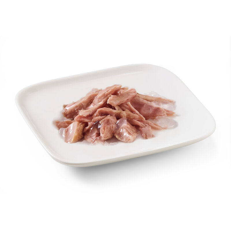 Schesir Dog Tonnetto 150 gr