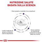 Royal Canin Expert Neutered Adult Small 1,5 kg - Scad. Dicembre 25