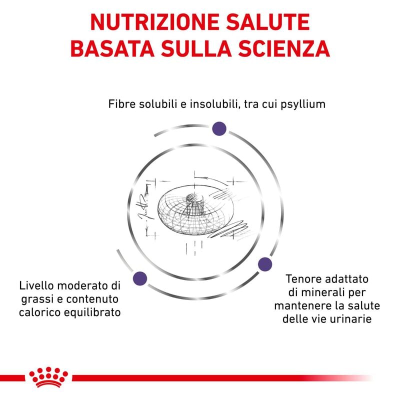 Royal Canin Expert Neutered Adult Small 1,5 kg - Scad. Dicembre 25