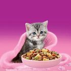 Whiskas Junior croccantini con Pollo 1,4 Kg