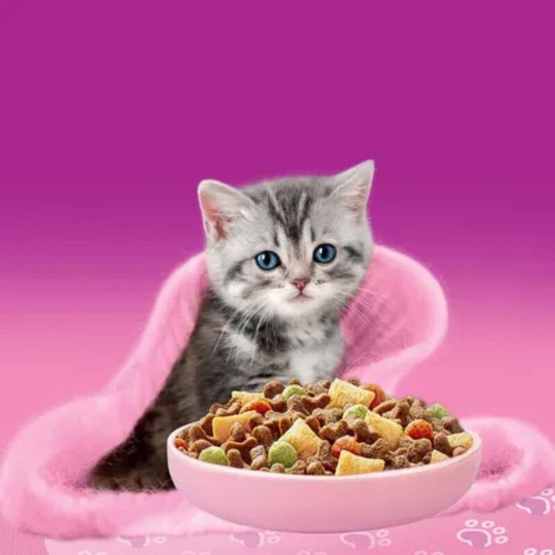 Whiskas Junior croccantini con Pollo 1,4 Kg