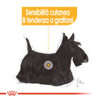 Royal Canin Dog Adult Dermacomfort 85 gr