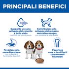 Hill's Science Plan Puppy con Manzo 370gr
