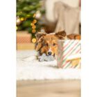 Trixie Gioco Xmas per cani Stella in latex 10 cm con squittio Trixie Gioco Xmas per cani Stella in latex 10 cm con squittio