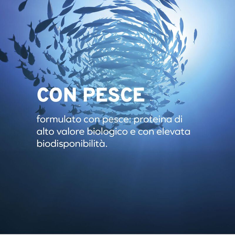 Forza 10 Active Vet Diet Urinary per gatti adulti al Pesce 1,5 kg