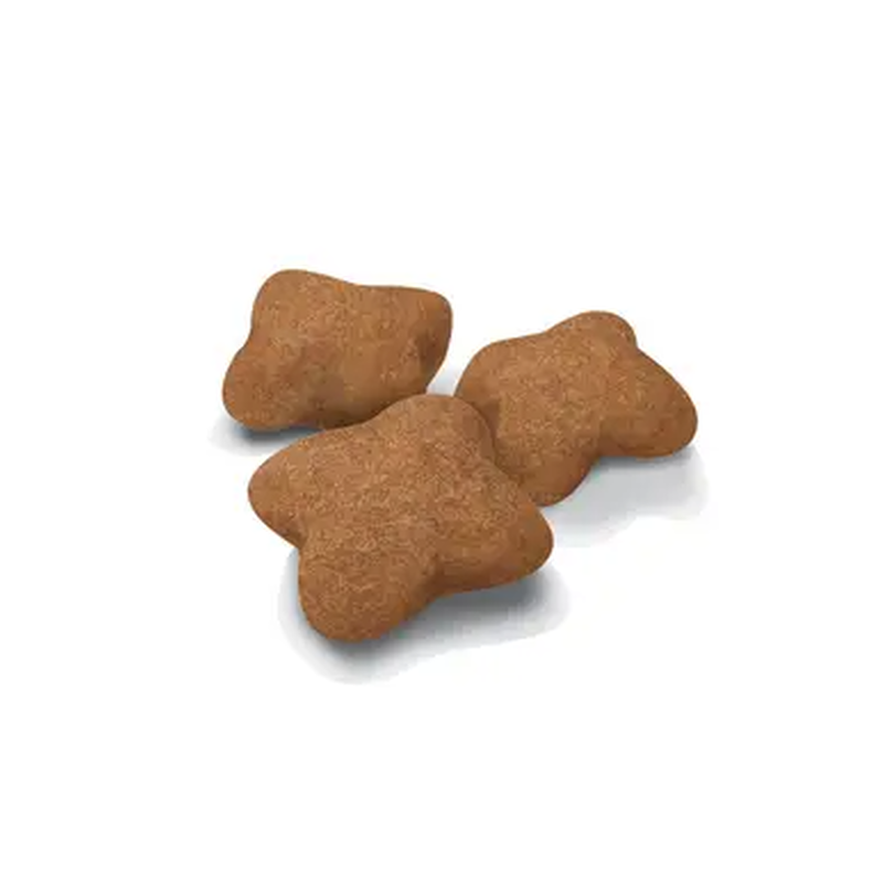 Royal Canin Cat Kitten Sterilised 400 gr