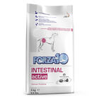 Forza10 Active Dog Adult Intestinal Active 4 kg