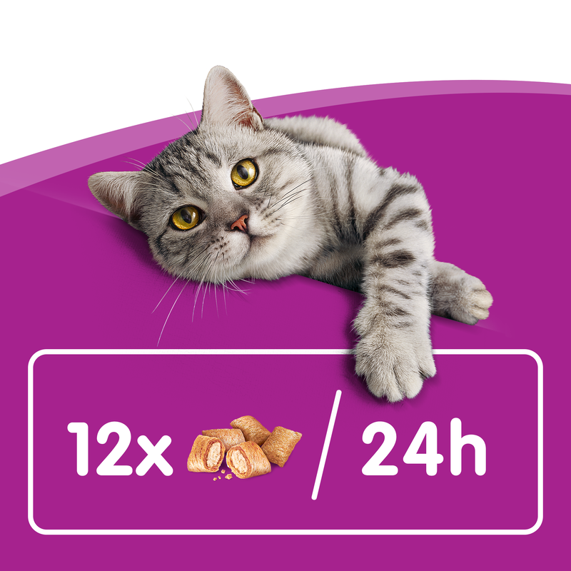 Whiskas Temptations Cat Snack Salmone 60gr