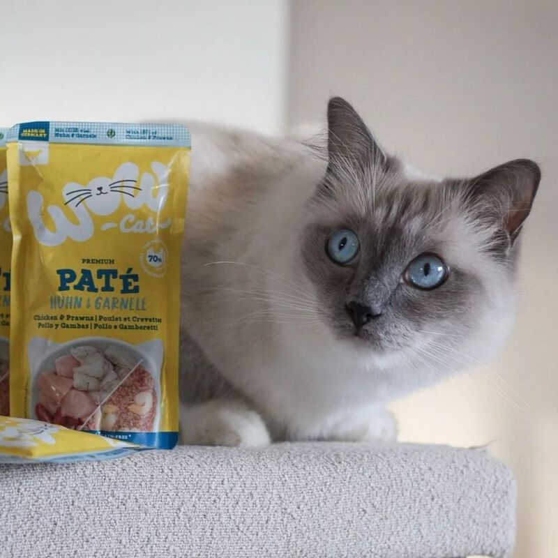 Wow Cat Adult Pollo e Gamberetti 125 gr