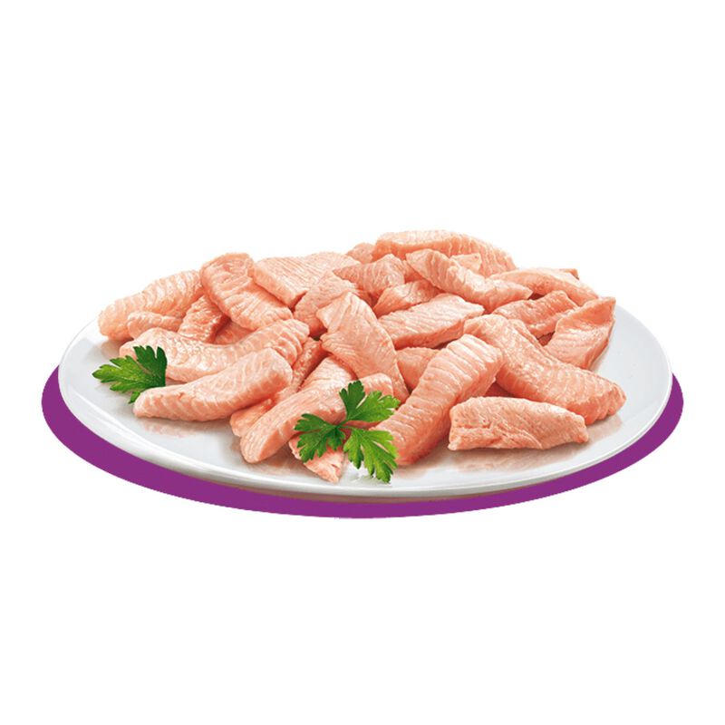 Petreet Cat 100% Monoproteico Pollo 70 gr