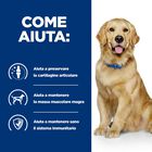 Hill's Prescription Diet Dog j/d Joint Care Mobility con Pollo 12 kg