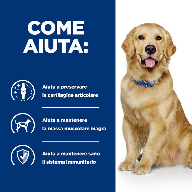 Hill's Prescription Diet Dog j/d Joint Care Mobility con Pollo 12 kg