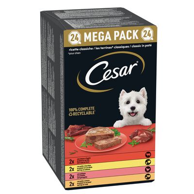 Cesar Dog Adult Ricette Classiche Mega Pack 24x150gr