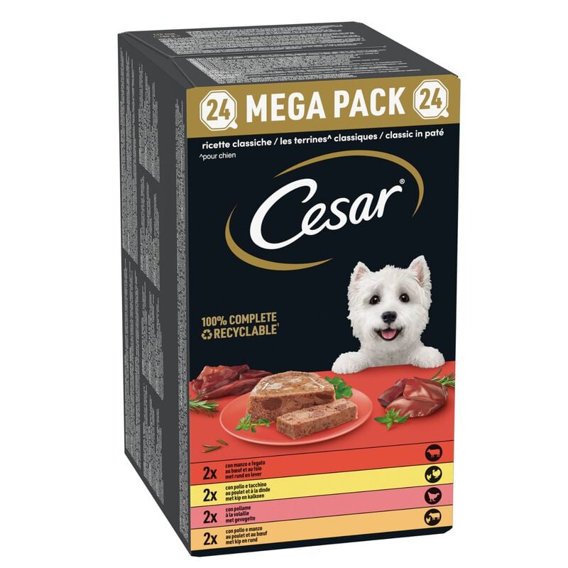 Cesar Dog Adult Ricette Classiche Mega Pack 24x150gr Cesar Dog Adult Ricette Classiche Mega Pack 24x150gr