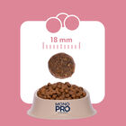 Monopro Dog Adult Medium&Large Grain Free Maiale 3 kg