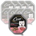 Cesar Dog Ricette di Campagna con Vitello e Tacchino 150 gr