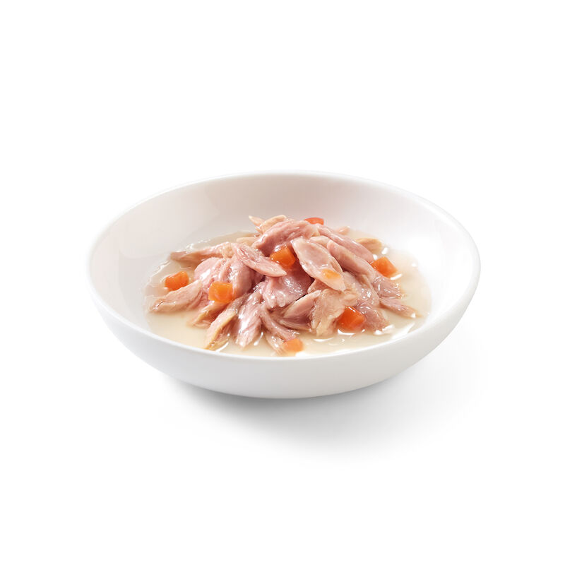 Schesir Cat Tonnetto con carote in brodo 70 gr
