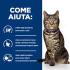 Hill's Prescription Diet Cat Adult Metabolic Salmone 3 kg
