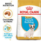 Royal Canin Dog Puppy French Bulldog 1 kg