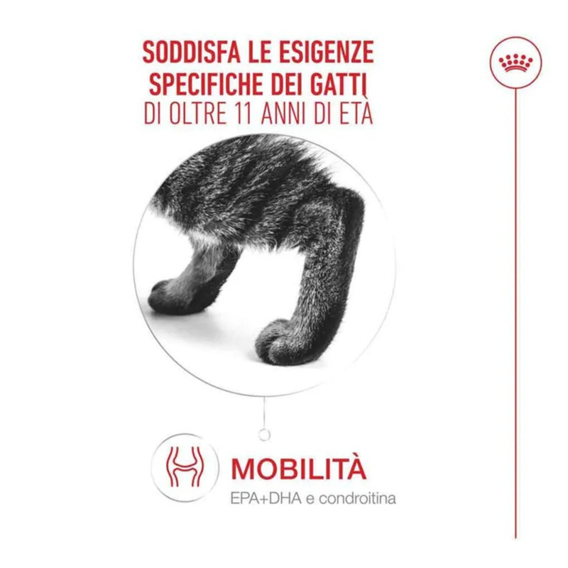 Royal Canin Cat Ageing 11+ in gravy 85gr