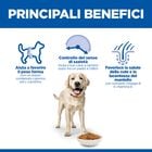 Hill's Science Plan Dog Adult Light Large Breed al Pollo 14 kg