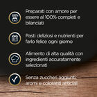 Cesar Dog Ricette di Campagna con Manzo e Tacchino 150 gr