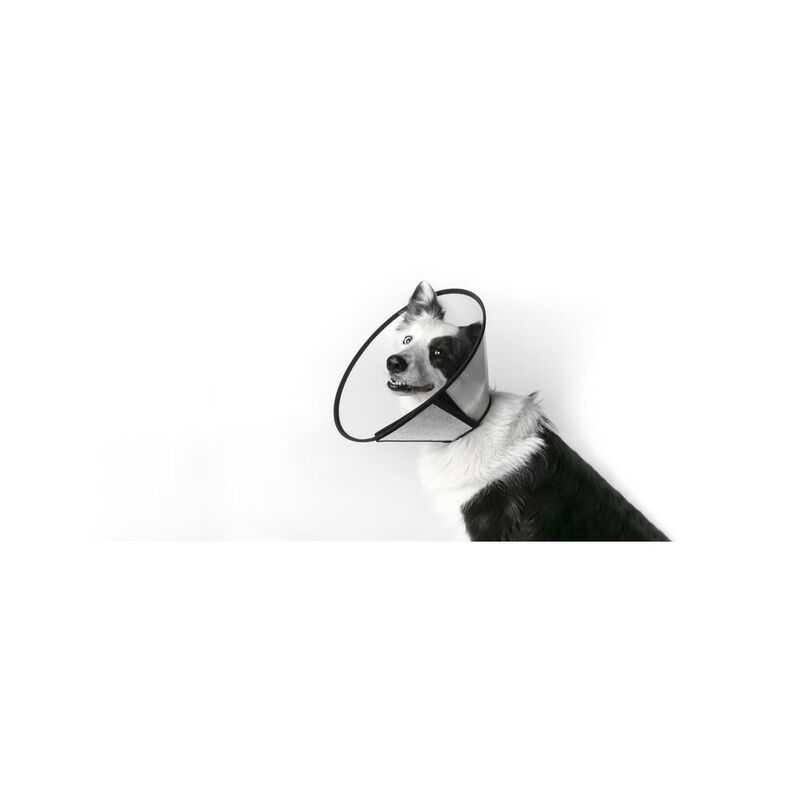 Leo pet Collare Chirurgico con velcro e bordatura M