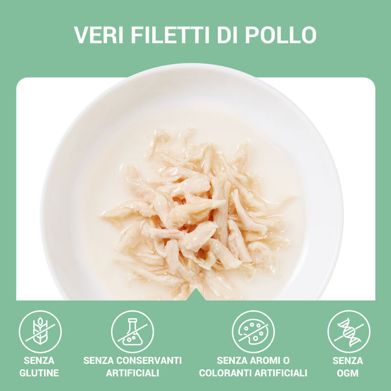 Schesir Cat Pollo in Brodo 70 g