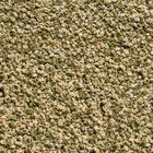 Sera Vipagran Granules 100 ml