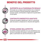 Royal Canin Veterinary Diet Cat Renal Select 400 gr