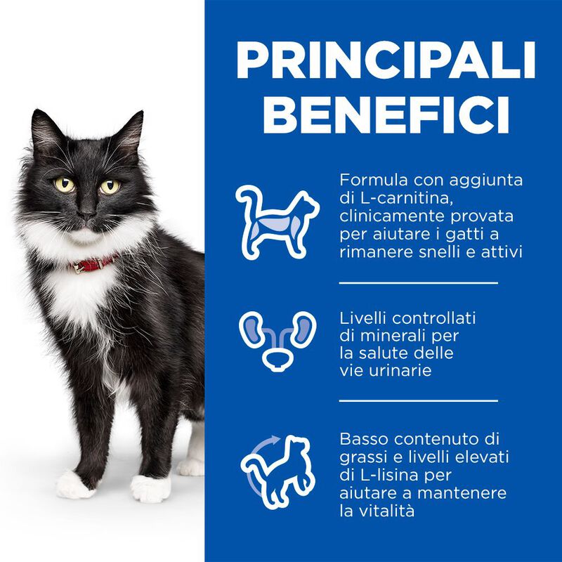 Hill's Science Plan Cat Steril Mature 7+ Pesce dell'Oceano 85gr