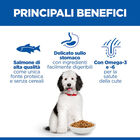 Hill's Science Plan Hypoallergenic Dog Adult Large Breed Salmone 14Kg