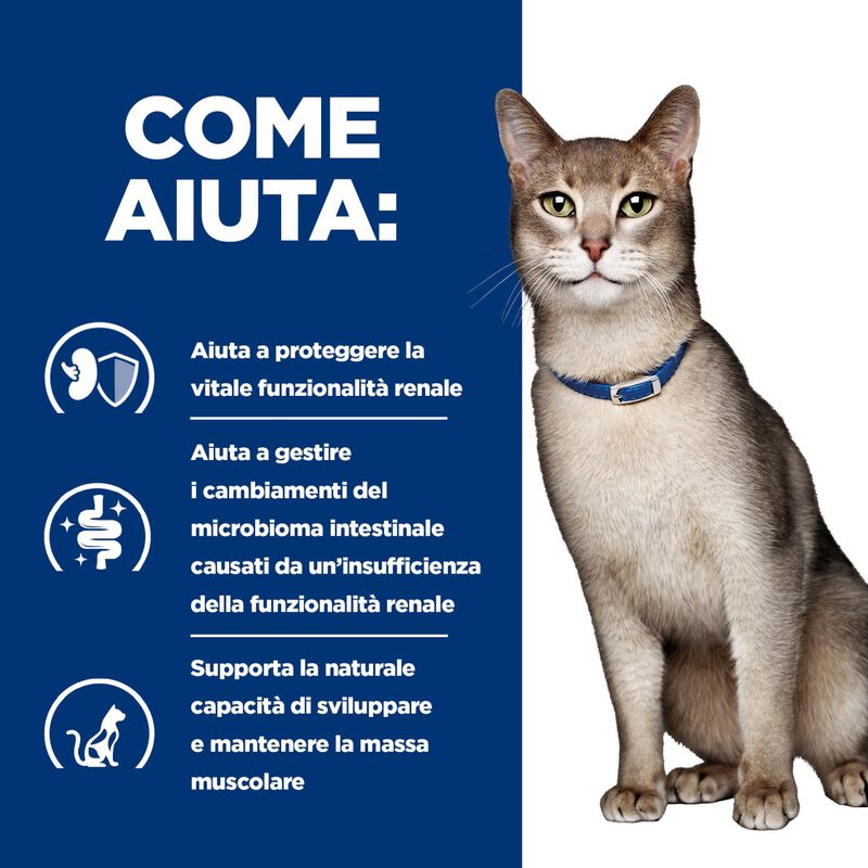 Hill's Prescription Diet k/d Alimento Umido per gatti adulti con Salmone 85 gr